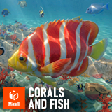 Corals and fish - underwater reef