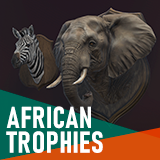 African animals – Hunting trophies