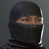 Classic Ninja