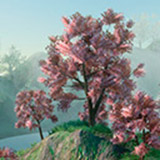 Orchard Trees