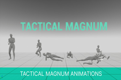 Tactical Magnum Animations