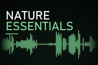 Nature Essentials - 30 Outdoor Sounds
