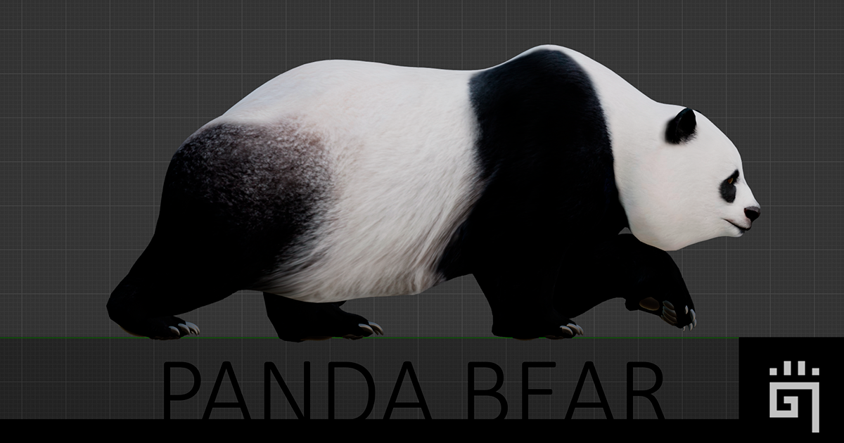 Panda Bear | Characters | Unity Asset Store