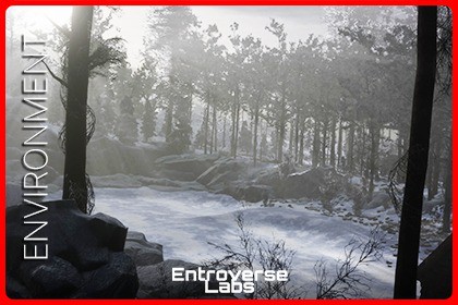 Taiga Biome Environment / Boreal Tundra Forest