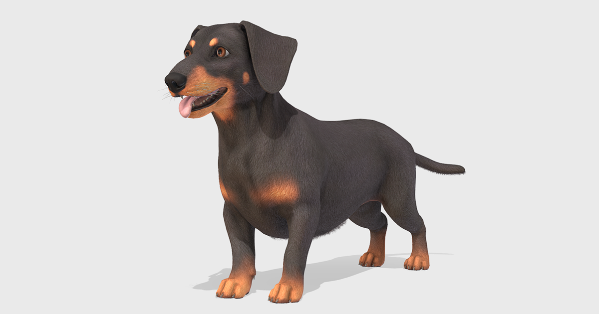 Dog -- Dachshund | Characters | Unity Asset Store