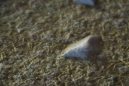 Ground (Forest) Texture & Material Vol. 05