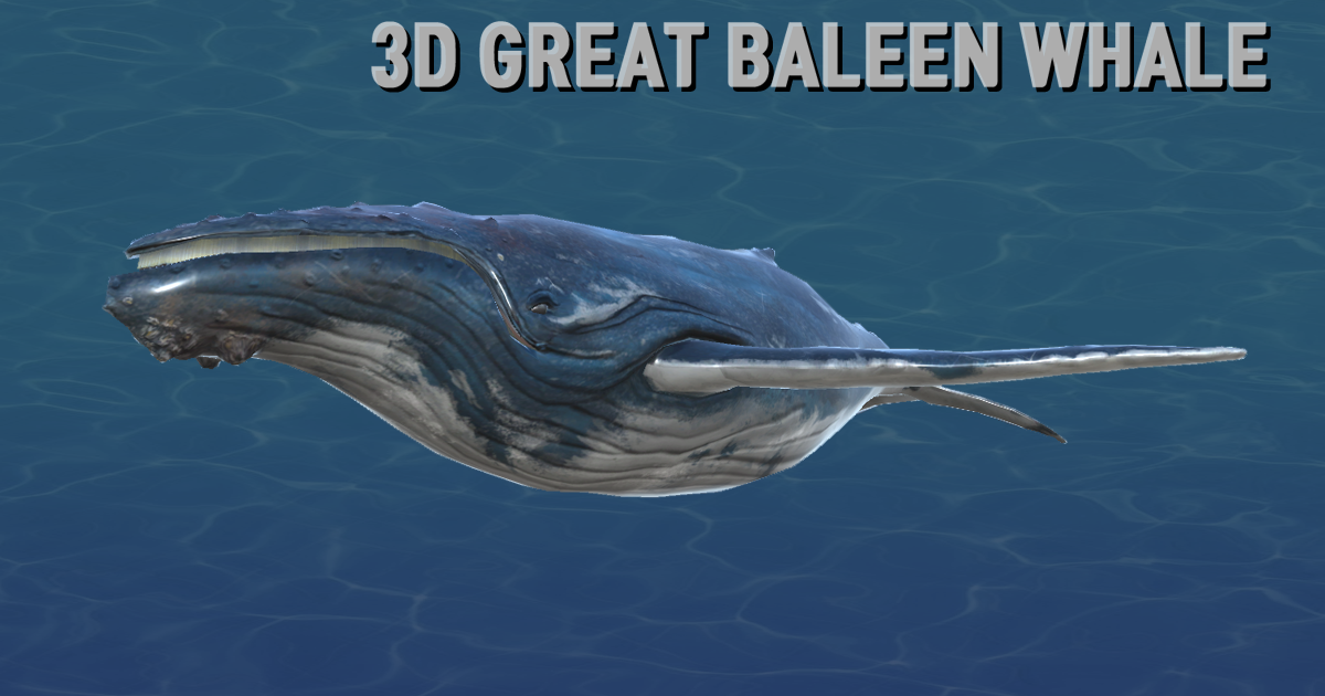 Unity Whale 3D Great Baleen Whale | Characters | Unity Asset Store