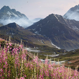 Grass Mountains Valley Environment (BUILT-IN version)