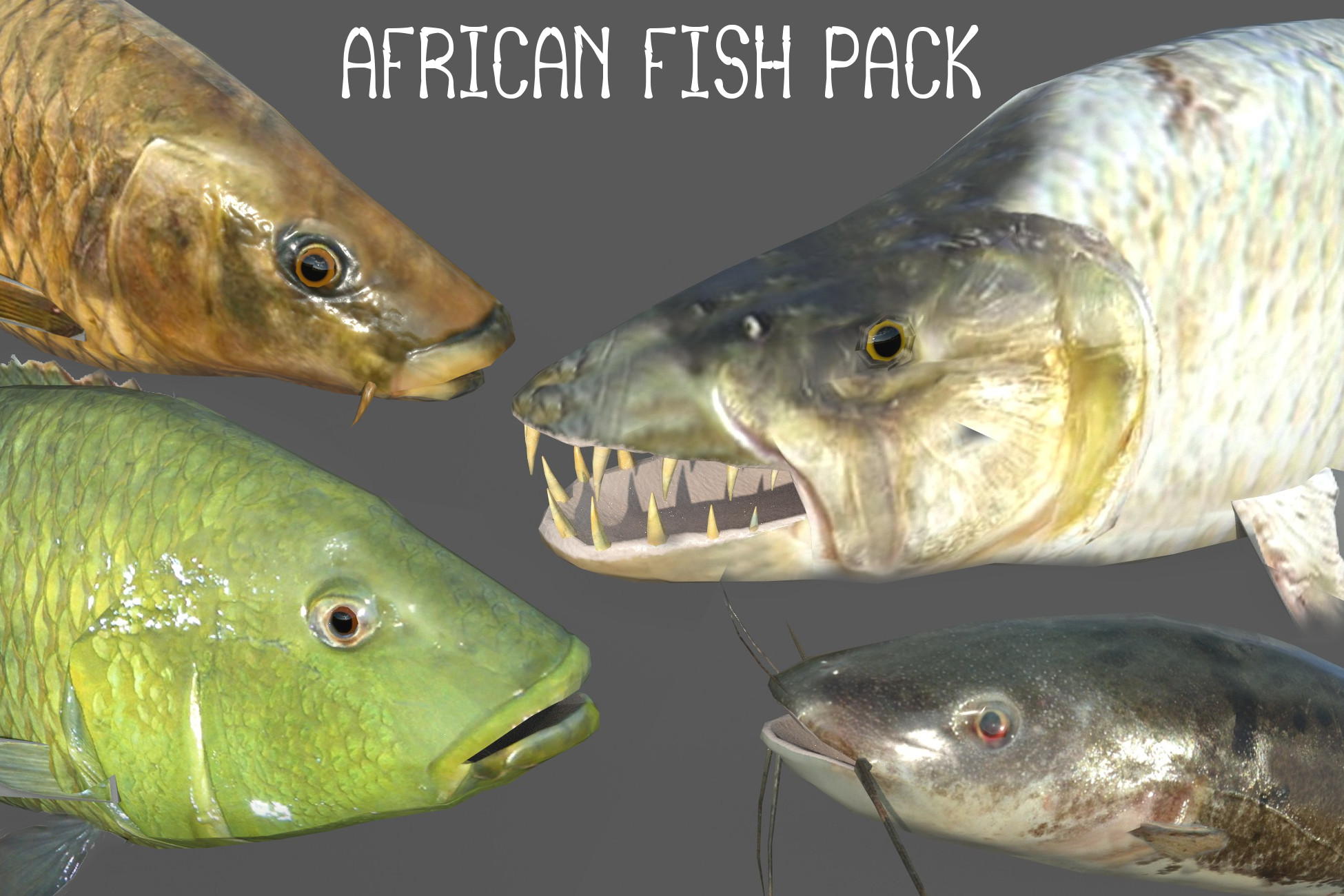 Unity Asset Fish African fish pack | Characters | Unity Asset Store