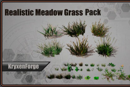 Realistic Meadow Grass Pack – Game Ready Foliage