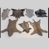 animal pelts volume three: cheetah, badger, boar, goat, sheep, bear