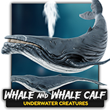 Whale & Whale Calf - Realistic 3D Model - Underwater Creature Monster - #23