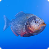 Piranha Animated