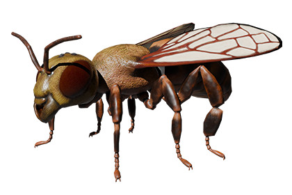 Bee
