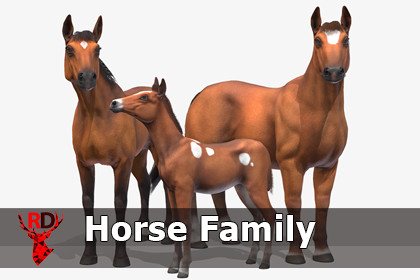Horse family