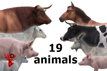 DOMESTIC ANIMAL PACK