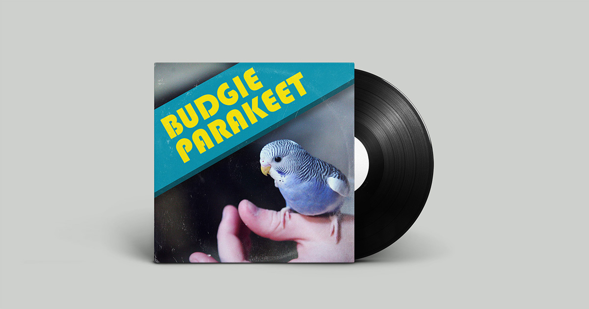 Budgie Parakeet SFX Library | Audio Sound FX | Unity Asset Store