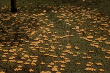Interactive Leaves