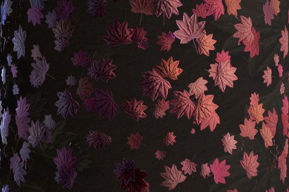 Leave (Maple) Texture & Material Vol. 01