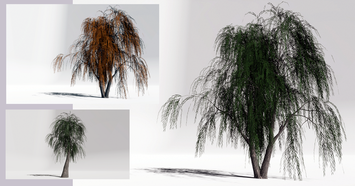 Trees Gen04 Pack01 Willows | 3D Trees | Unity Asset Store