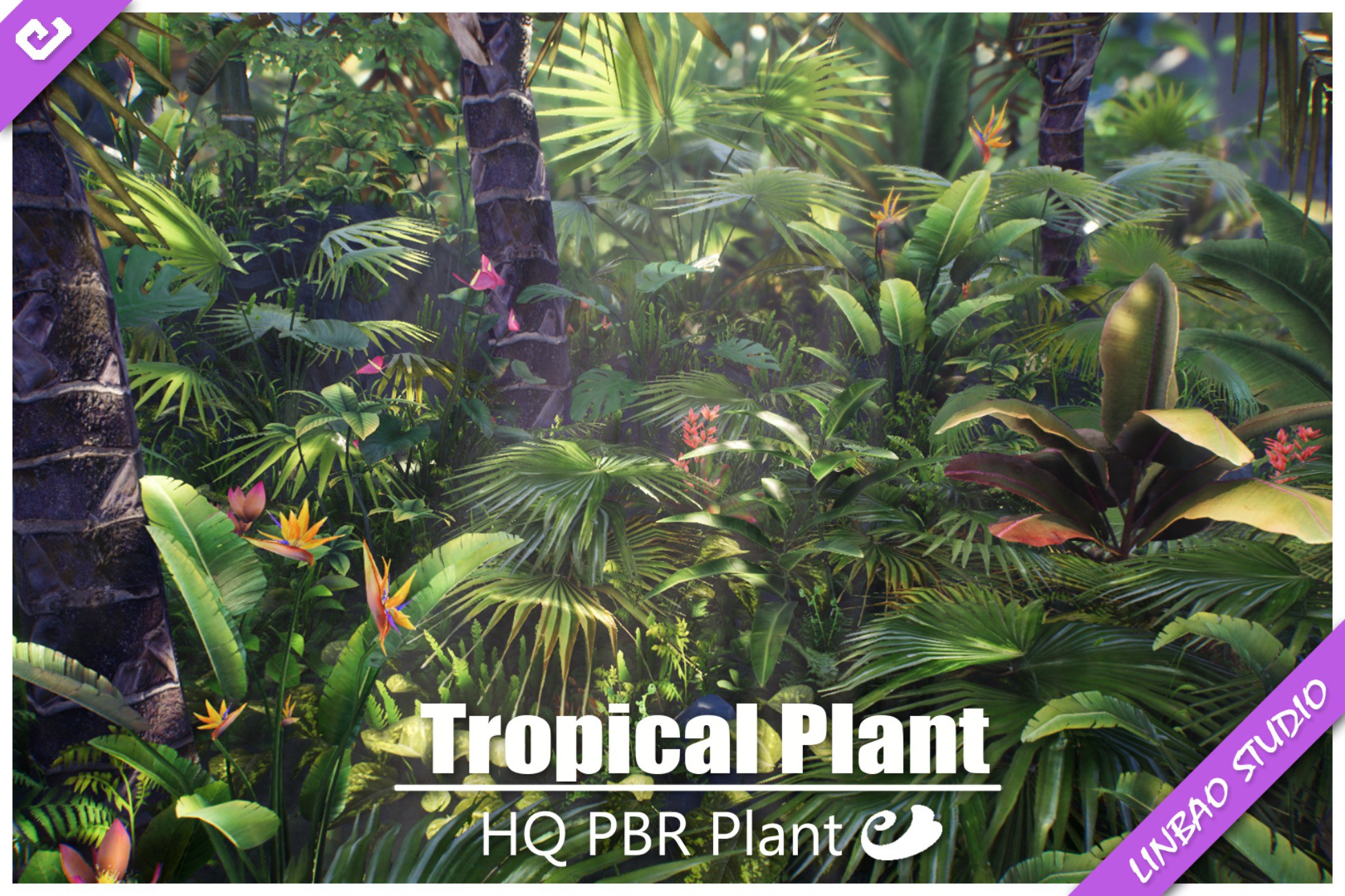 Tropical Plant | 3D 植物 | Unity Asset Store
