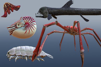 深海生物シリーズ セット01
