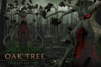 Oak Tree — Ent Collection