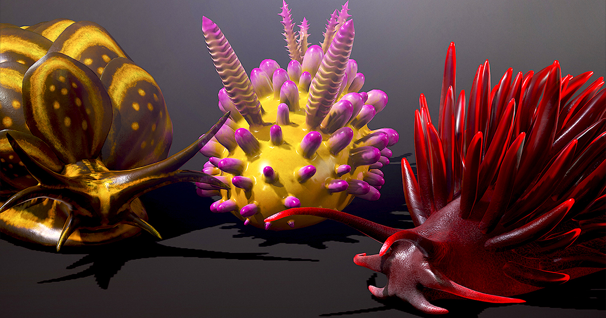 Sea Slugs Pack | Characters | Unity Asset Store
