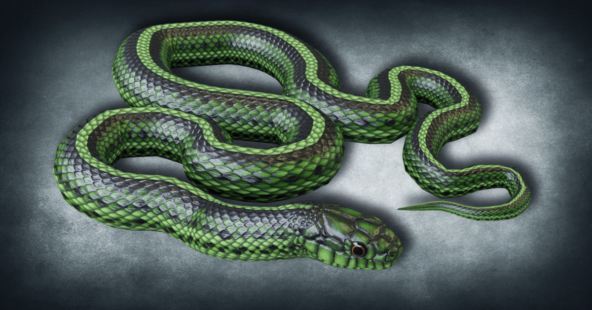 Basic Unity Snake Color Animated Green Snake PBR | Characters | Unity Asset Store