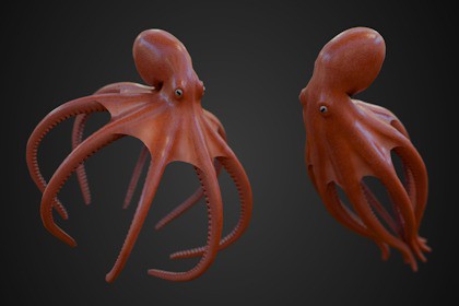 Animated Octopus
