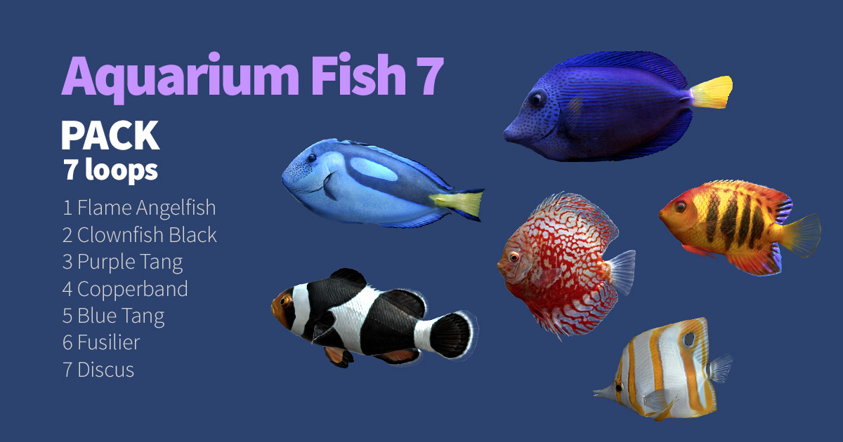 Aquarium Fish 7 | Characters | Unity Asset Store