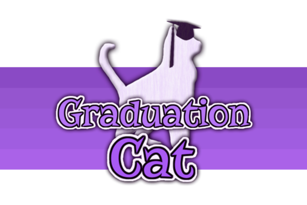 Graduation Cat - Asset Store
