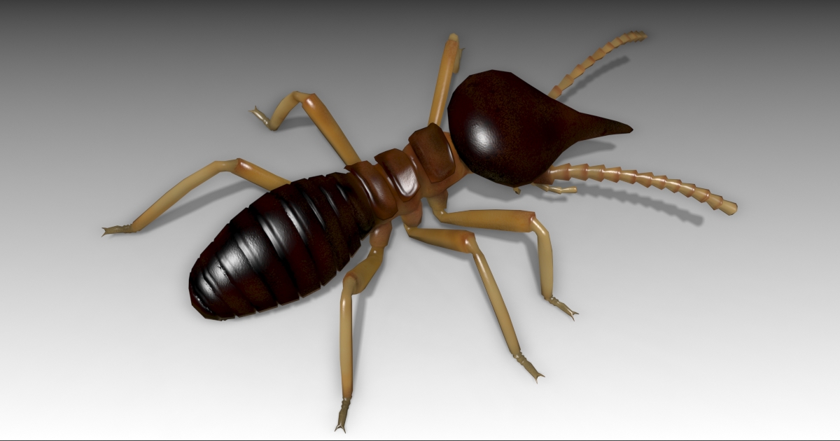 Unity Termite Building Nasute Termite | Characters | Unity Asset Store
