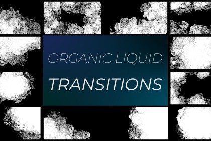 Organic Liquid Transitions (15.04)