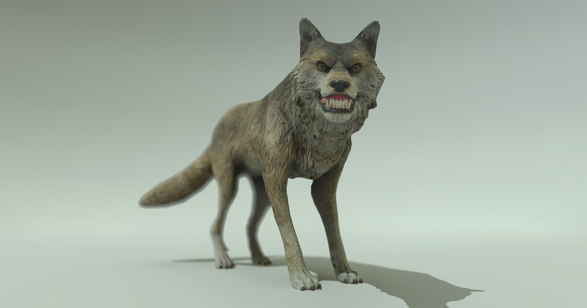 FANTASY WOLF | Characters | Unity Asset Store