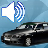 2.5L German Diesel Engine Sound