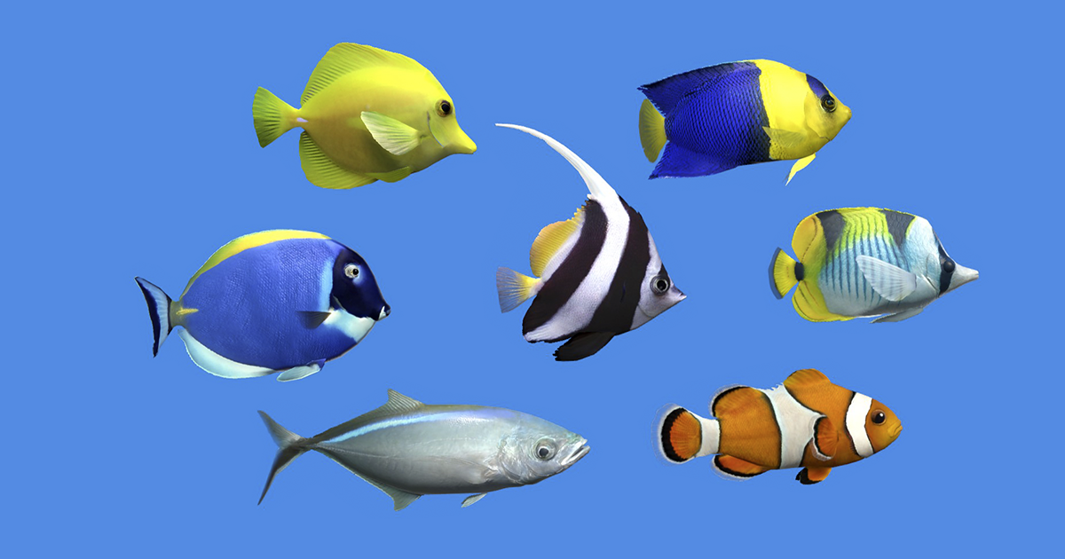 Coral Fish 7 | Characters | Unity Asset Store