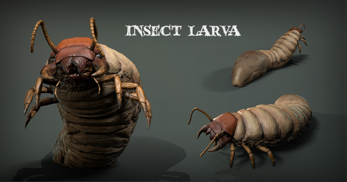 Unity Insects Insect Larva | Characters | Unity Asset Store