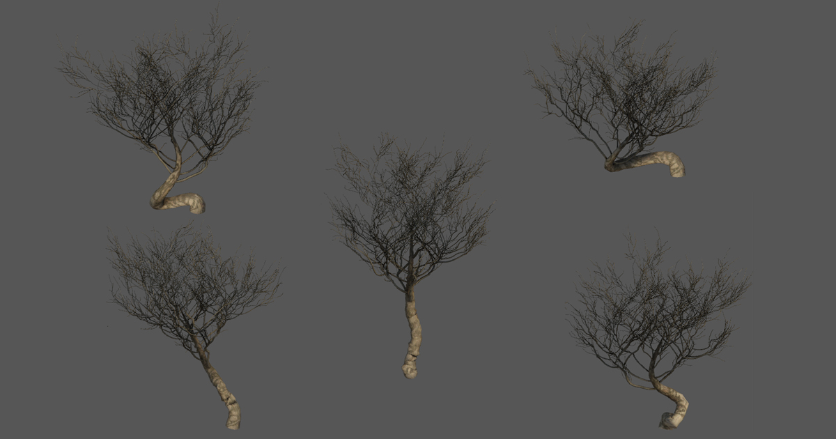 Dry Bushes | 3D Plants | Unity Asset Store
