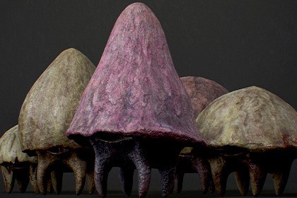 Mushroom Monsters1 Pack