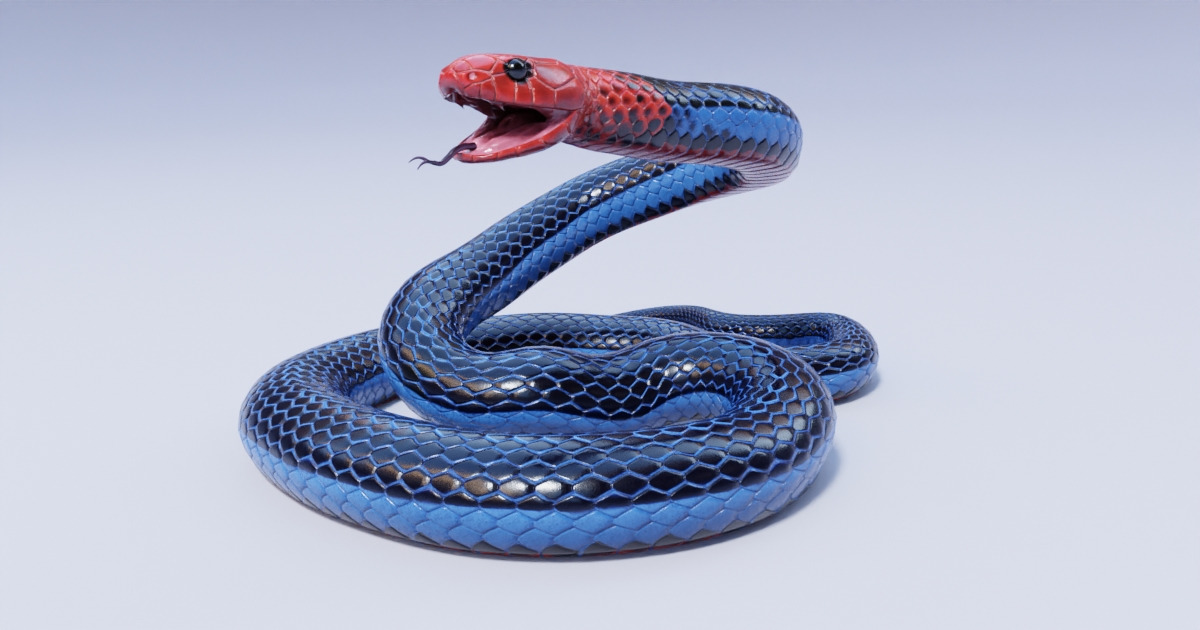 Blue Coral Snake | Characters | Unity Asset Store