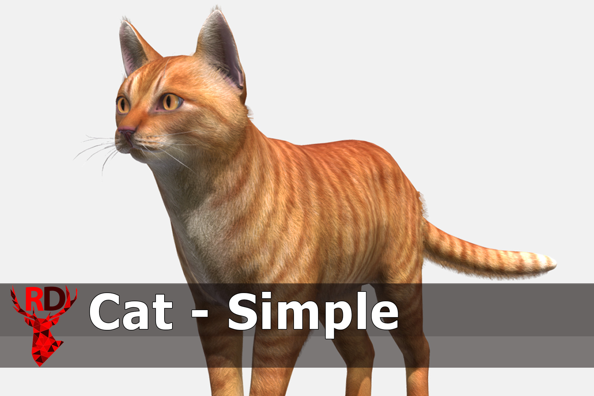 Cat - Simple