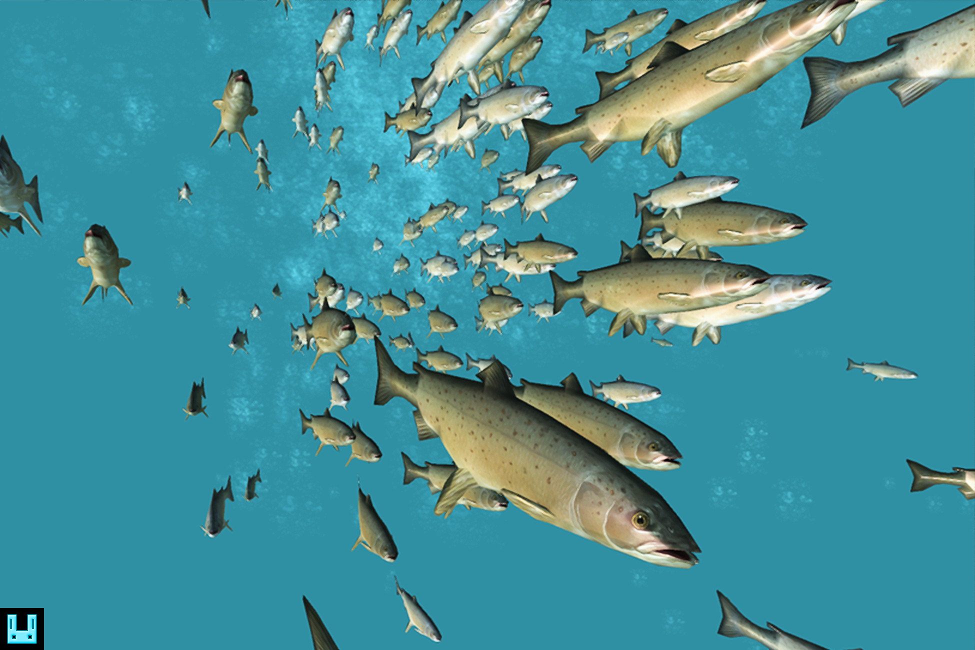 Fish Image Unitobject Fish School Salmon | Characters | Unity Asset Store