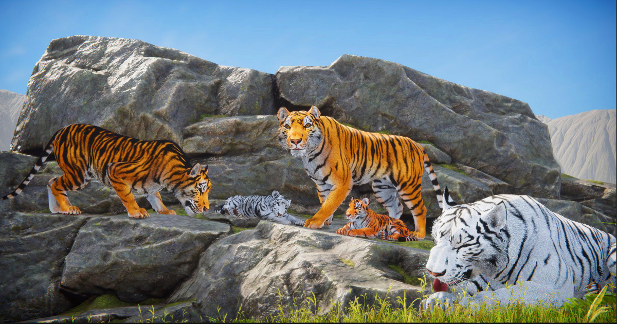 Tiger Unity Realistic Tiger | 3D Animals | Unity Asset Store