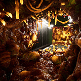 Alien Biomass Planet