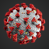 Coronavirus SARS-CoV-2 COVID-19 Virus Model