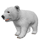 Polar Bear Cub (Fur)