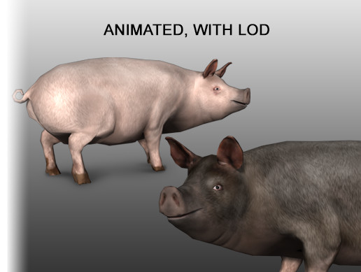 Pig Unity Hog / Pig | 캐릭터 | Unity Asset Store