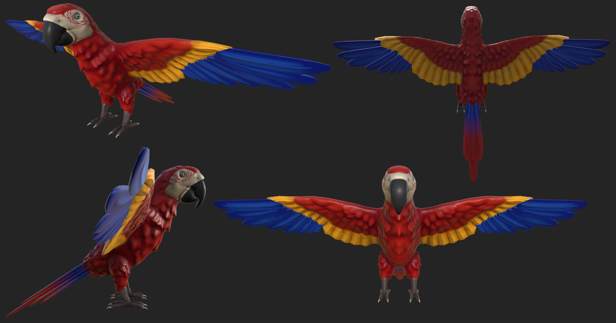 Bird Unity Texture Semi realistic Parrot 4 textures | Characters | Unity Asset Store