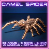 Solifugae Camel Spider, animated and modular monster insect with skins & shader.